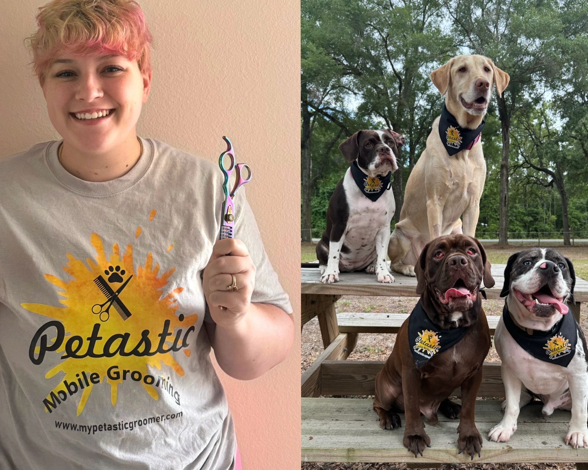 Heather, your groomer, with four dogs wearing Petastic bandanas
